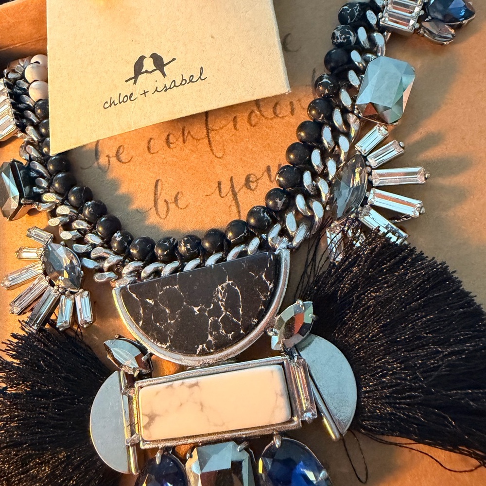 Chloe + Isabel Black and Silver Necklace and Earrings with Blue Accents. Hero! - Picture 4 of 11